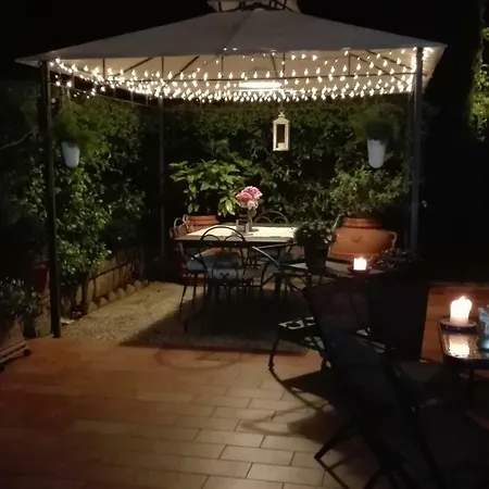 Fiori E Lanterne
