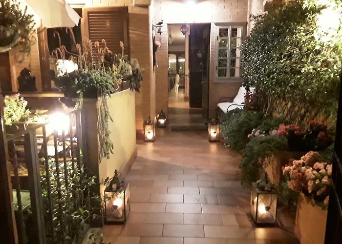 Fiori E Lanterne *
